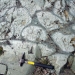 Géologie du substrat rocheux